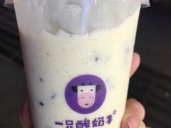 -一只酸奶牛(八一路店)