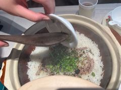 -大鸽饭(岗顶店)