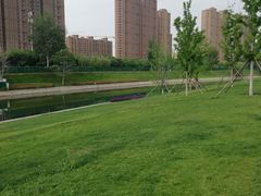 -坝河休闲公园