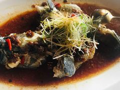 清蒸老虎斑-三号黄浦会Canton Table