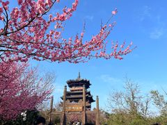 -杭州半山国家森林公园