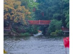 -荔湾湖公园