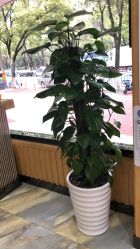 点击看大图 -永琪美容美发全国直营连锁