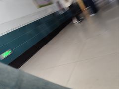 -扶摇树下·椒麻鲜活虾(石家庄勒泰广场店)