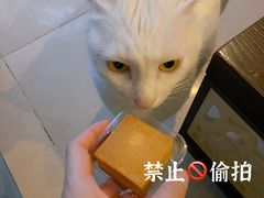 -阿吉仔(大元路店)