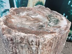 -延庆地质公园博物馆