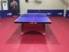 -火星羽毛球游泳乒乓球网球篮球台球滑板轮滑(踏水桥北街店)