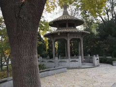 -玲珑塔公园