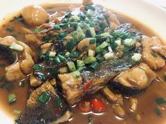 -全乐鱼馆·淳牌有机鱼直营店