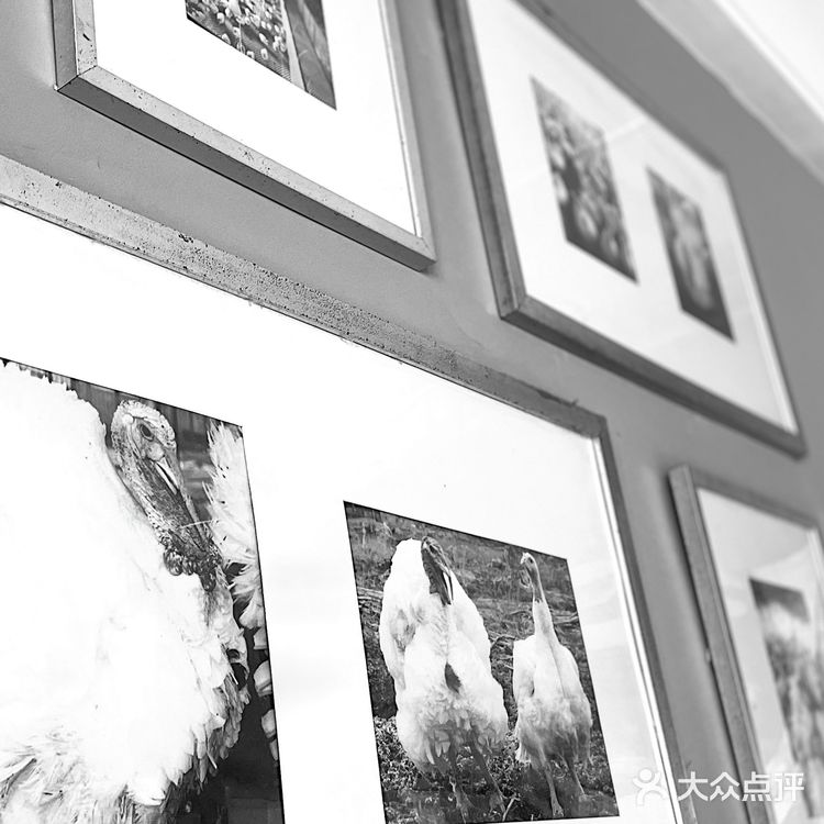 魔都 孤独的美食家｜嘉义喷水火鸡肉饭[强]