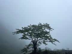 -瓦屋山景区