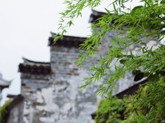 -青果巷历史文化街区