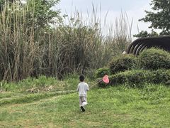 -桤木河湿地公园