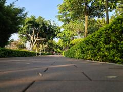 -五缘湾湿地公园