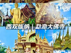 -西双版纳勐泐文化旅游区