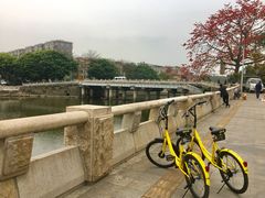 -长洲岛