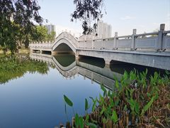 -映月湖公园