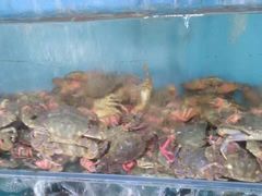 -宏源鑫海鲜餐厅·海景婚宴厅(石老人店)