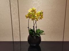 -杭州城中香格里拉大酒店