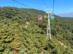-摩天岭风景区
