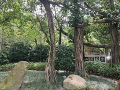 -广州市白云山风景名胜区