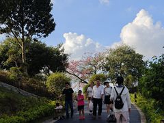 -东莞植物园