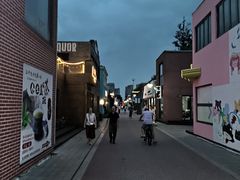 -艾溪湖湿地公园