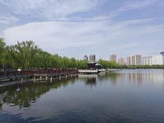 -莲花池公园