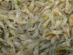 -爷爷的草帽·海鲜馆(孙塘路店)