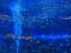 -成都浩海立方海洋公园