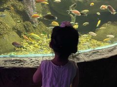 -苏州海洋馆