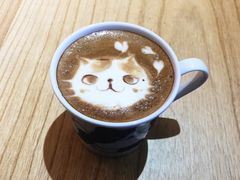 -喵屿·大理花园猫咖