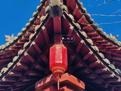-碑林公园