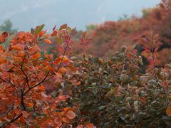 -周口店坡峰岭风景区