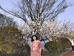 -星光岛