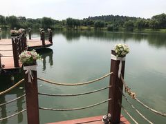 -大塘金香草谷