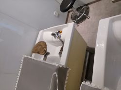 -LESSMORE科技头皮理容中心