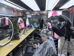 点击看大图 -藤野造型