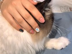 点击看大图 -M·X Nail日式美甲美睫