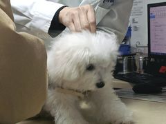 -宠颐生宠物医院外科·内科·皮肤科·影像科(石龙店)