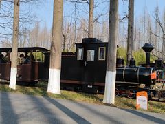 -黄海国家森林公园