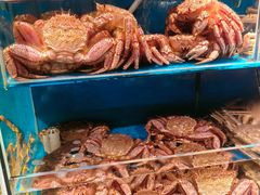 -蟹田居·活蟹料理(东城店)