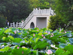 -松山湖风景区松湖烟雨