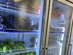 -雾与山茶(大禹城店)