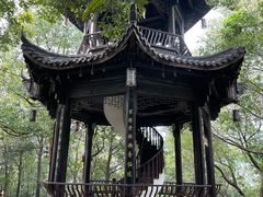 -杭州半山国家森林公园