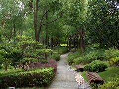 -陈家山荷花公园