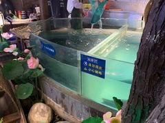 -坛宗剁椒鱼头(河西王府井店)