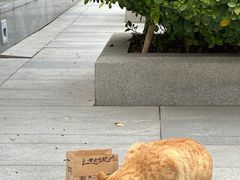 -太二酸菜鱼(SM城市广场店)