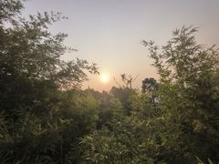 -铁山坪森林公园