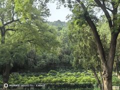 -颐和园